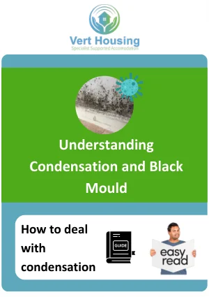 Understanding Condensation and Black Mould preview